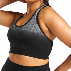 Gymshark Adapt Ombre Seamless Sports Bra
